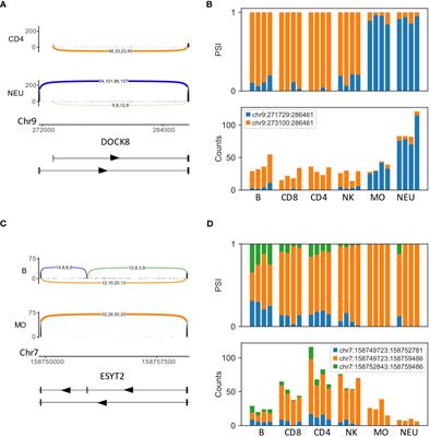 Mapping the splicing landscape of the human immune system